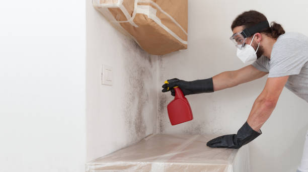 Professional Bathroom Mold Removal technician working in Hyde Park, MA